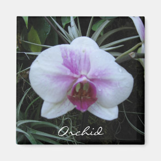 Magnet d'orchidée
