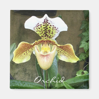 Magnet d'orchidée