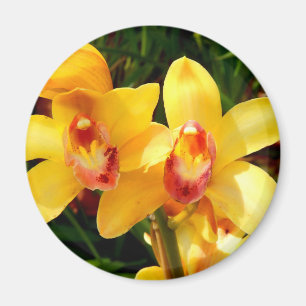 Magnet d'orchidée jaune