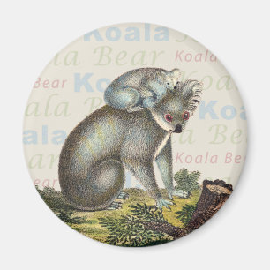 Magnet d'ours Koala