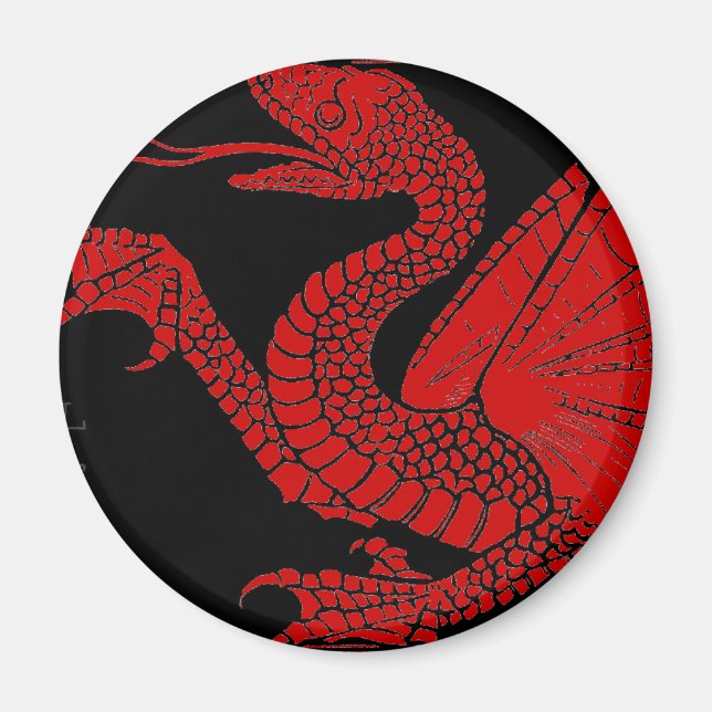 Magnet Dragon (Devant)