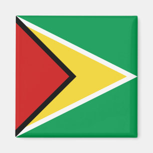 Magnet du drapeau guyanais
