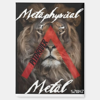 Magnet du logo PitDriver