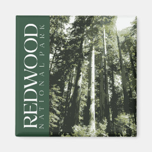 Magnet du parc national de Redwood