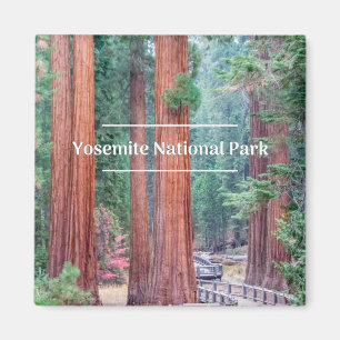 Magnet du parc national Yosemite