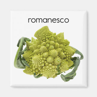 Magnet du réfrigérateur Romanesco