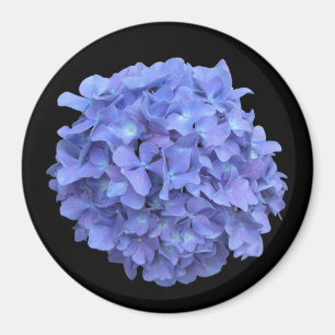 Magnet en fleur d'Hydrangée bleue