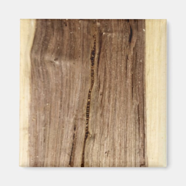 Magnet en noix (Devant)