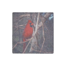 Cardinal masculin sur marbre