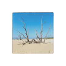 Plage d'été