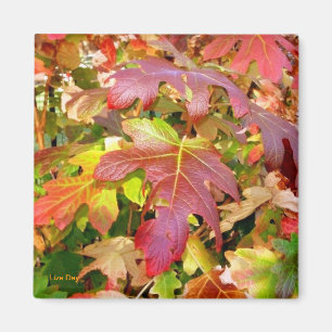 Magnet 'Feuilles d'automne'