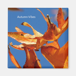 Magnet "Feuilles d'automne sur le ciel bleu"