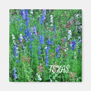 Magnet Fleur sauvage du Texas