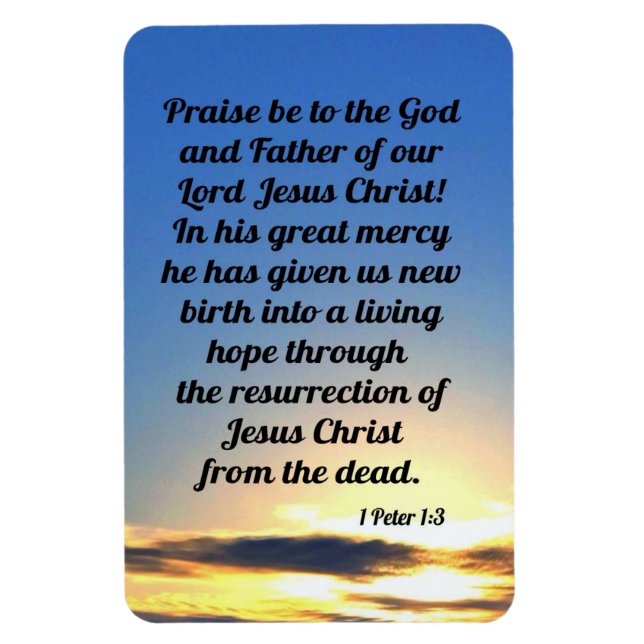 Magnet Flexible 1 Pierre 1:3 (Vertical)