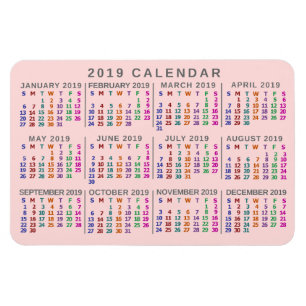 Magnet Flexible 2019 Year Monthly Calendar Blush Pink Colorful