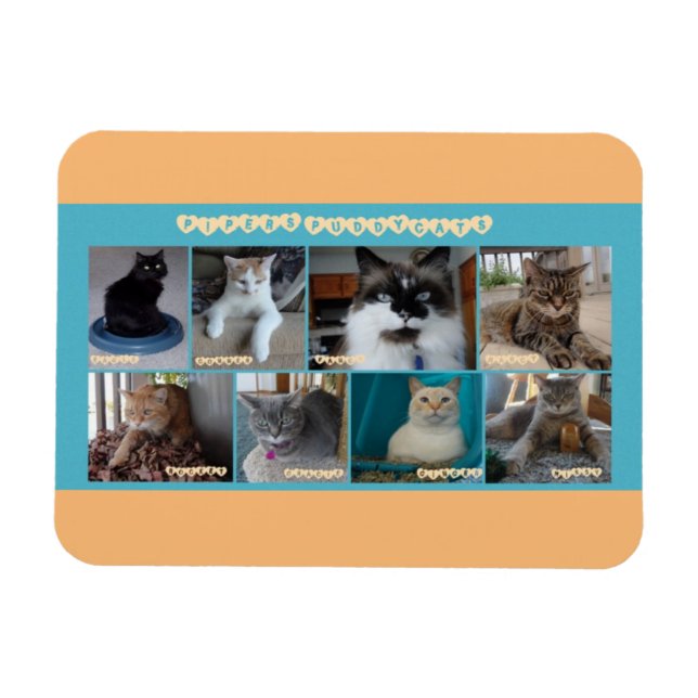 Magnet Flexible 3 x 4 aimant flexible (Horizontal)