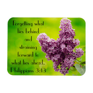 Magnet Flexible 3h13 de Philippiens d'encouragement de vers de