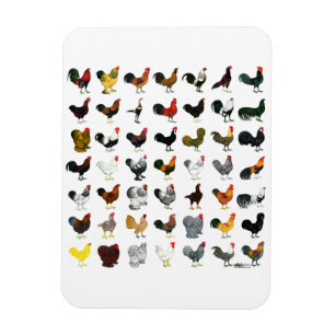 Magnet Flexible 49 Coq