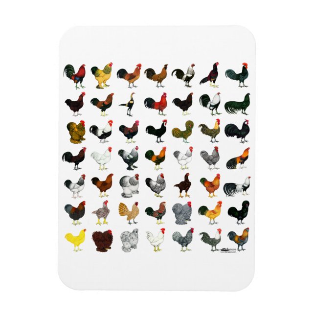 Magnet Flexible 49 Coq (Vertical)