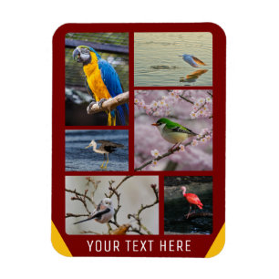 Magnet Flexible 5 images personnalisées Aimant photo flexible