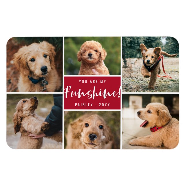 Magnet Flexible 6 Photo Collage Vous Êtes Ma Funshine | Animal rou (Horizontal)