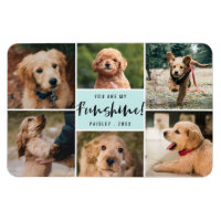 6 Photo Collage Vous Êtes Ma Funshine | Aqua Pet