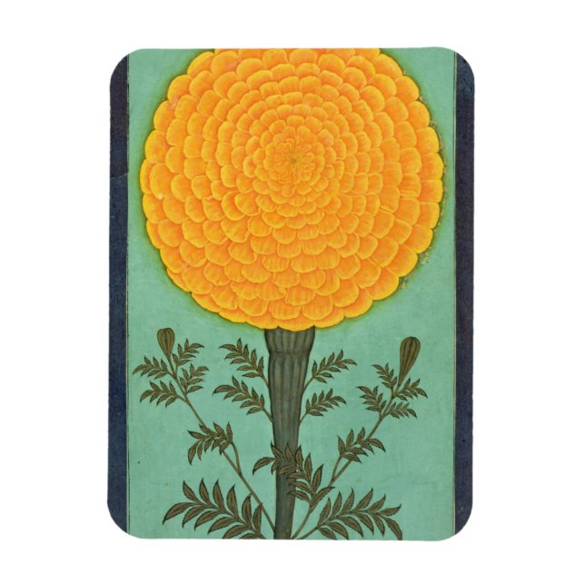 Magnet Flexible A Marigold, de l'album Small Clive (avec c/c sur p (Vertical)