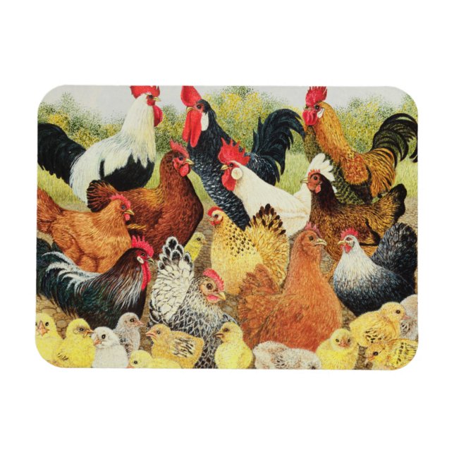 Magnet Flexible À propos de (Horizontal)