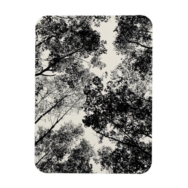 Magnet Flexible À Travers Les Arbres, 2018 | Images SVP (Vertical)