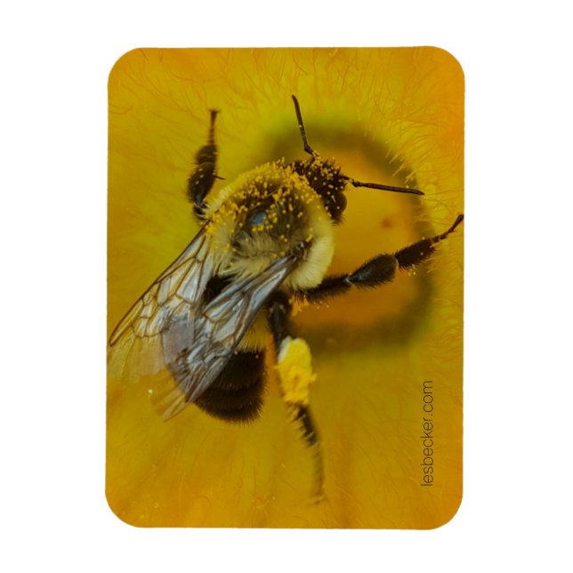Magnet Flexible Abeille recouverte de pollen (Vertical)