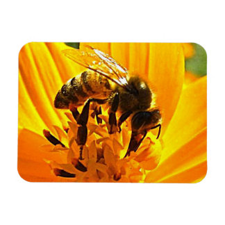 Magnet Flexible Abeille sur une fleur