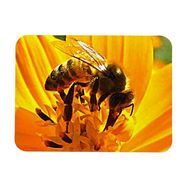 Magnet Flexible Abeille sur une fleur (Horizontal)