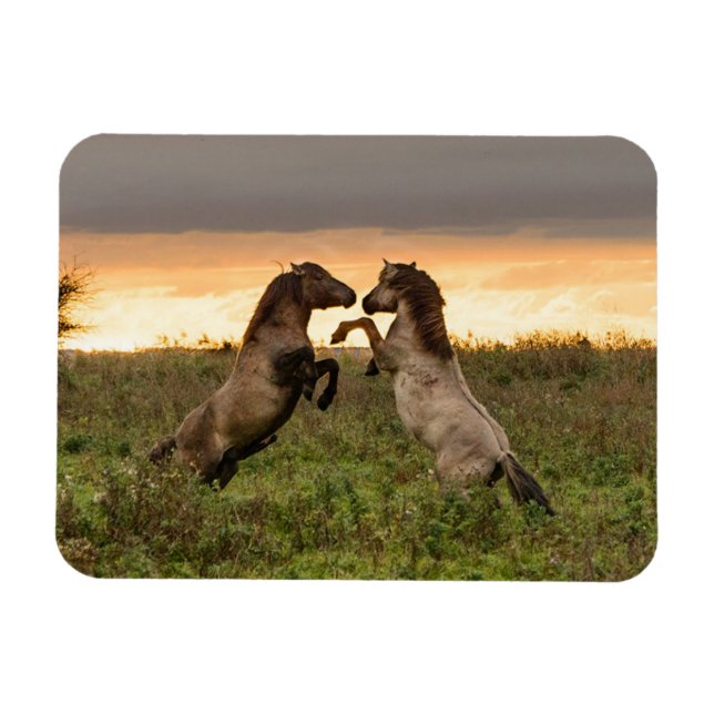 Magnet Flexible Accélération des chevaux sauvages aimant rectangul (Horizontal)
