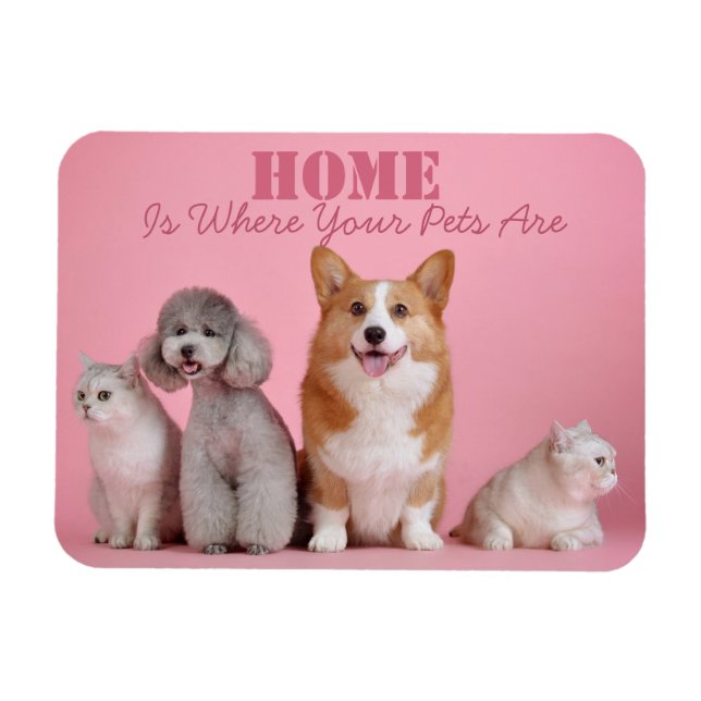 Magnet Flexible Accueil Où Sont Vos Animaux De Compagnie (Horizontal)