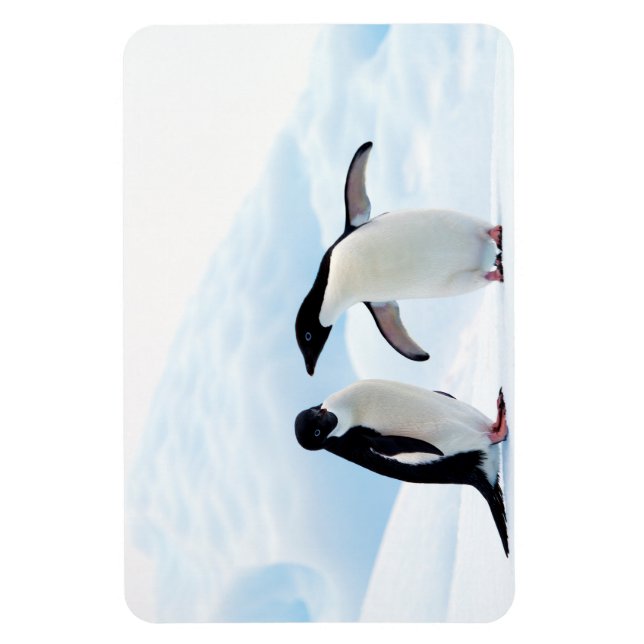 Magnet Flexible Adelie Penguins (Vertical)