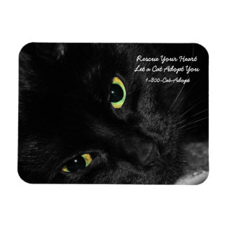 Magnet Flexible Adoption d'animaux Secourez votre coeur Adoptez un
