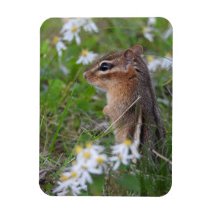 Magnet Flexible Adorable Chipmunk en fleurs