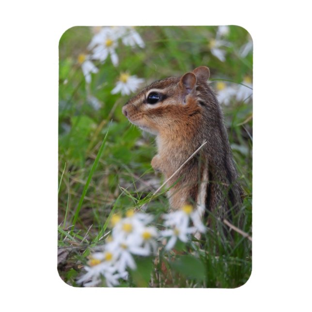 Magnet Flexible Adorable Chipmunk en fleurs (Vertical)