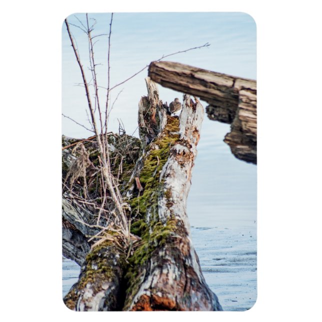 Magnet Flexible Afficher la boîte (Vertical)