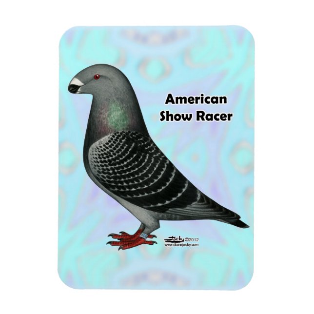 Magnet Flexible Afficher l'ASR racer (Vertical)