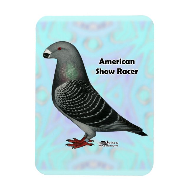 Magnet Flexible Afficher l'ASR racer (Vertical)