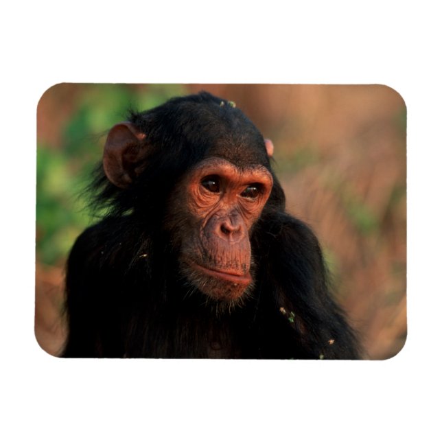 Magnet Flexible Afrique, Afrique orientale, Tanzanie (Horizontal)