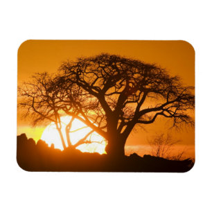Magnet Flexible Afrique, Botswana, Coucher de soleil silhouette Ba