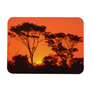 Magnet Flexible Afrique du Sud. Coucher de soleil africain.
