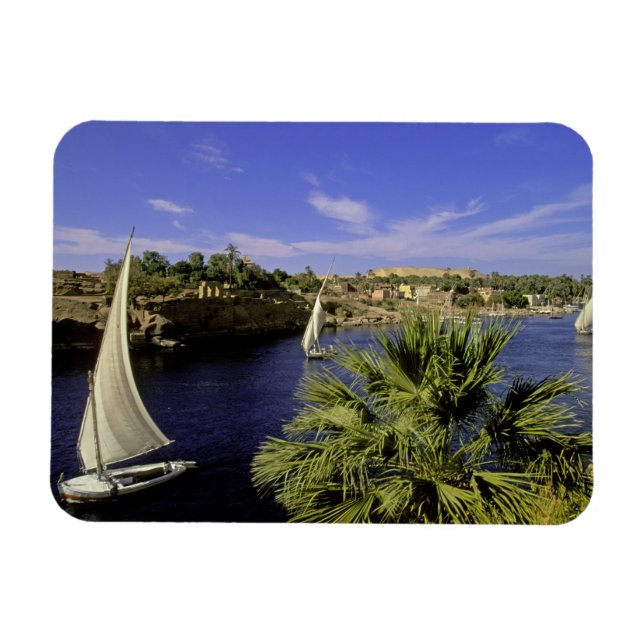 Magnet Flexible Afrique, Egypte, Haute-Egypte, Assouan. Feluccas 2 (Horizontal)