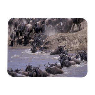 Magnet Flexible Afrique, Kenya, Parc national Masai Mara.