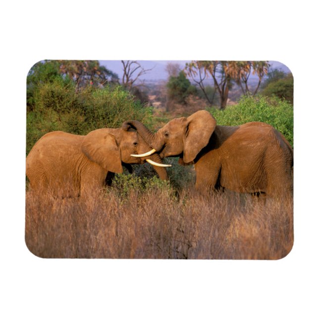 Magnet Flexible Afrique, Kenya, Samburu. Défi de l'éléphant (Horizontal)