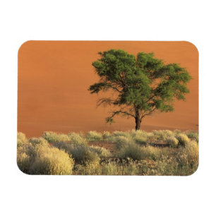 Magnet Flexible Afrique, Namibie, Parc national du Namib, Sossusvl