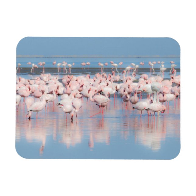 Magnet Flexible Afrique, Namibie, Walvis Bay (Horizontal)