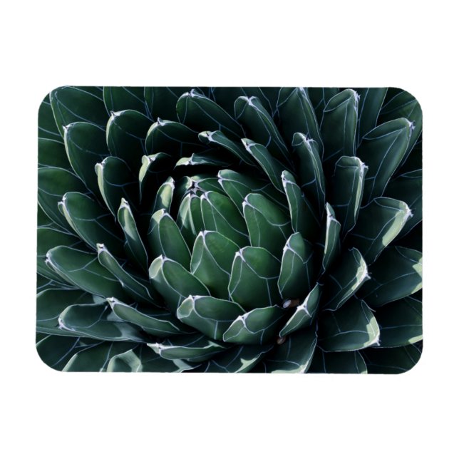 Magnet Flexible Agave verte (Horizontal)
